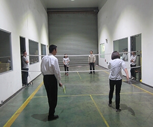 2014 Badminton Competition