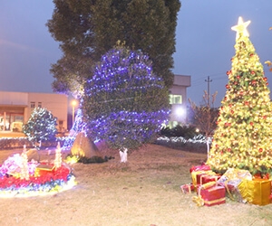 2014 Christmas Party